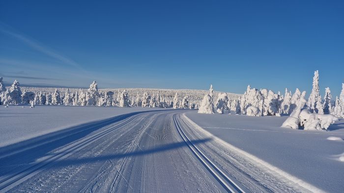 Bild från Östby spårsystem, 8km från stugan.