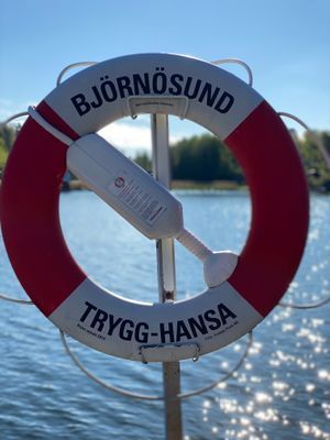 Skärgårdsidyll nära Stockholm – natur och hav! - Bild 44
