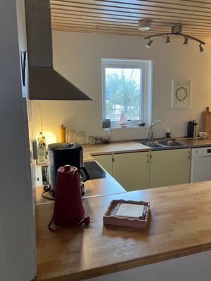 Hus vid Alvarets kant- fågelskådare - Bild 11