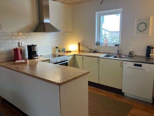 Hus vid Alvarets kant- fågelskådare - Bild 10