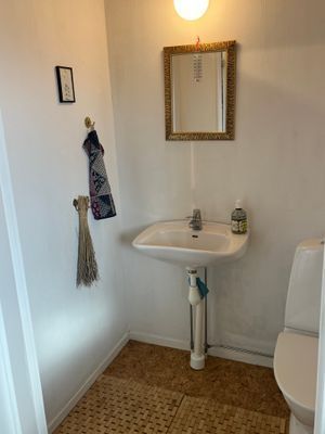 Hus vid Alvarets kant- fågelskådare - Bild 13