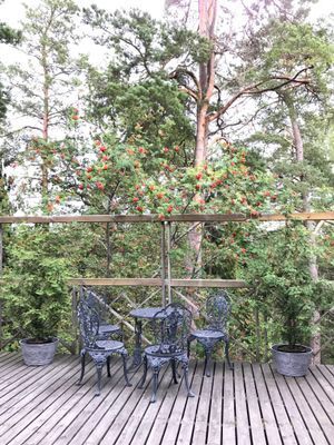 Fräscht, modern, vinterbonat, havsnära terrasshus - Bild 24