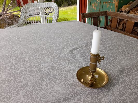 Stuga med härligt läge omgärdad av skog nära badsj - Bild 20