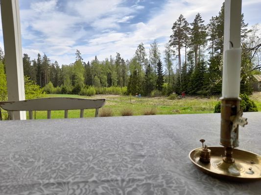 Stuga med härligt läge omgärdad av skog nära badsj - Bild 19