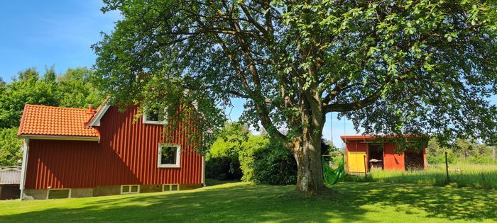 Bo granne med naturen! - Bild 10