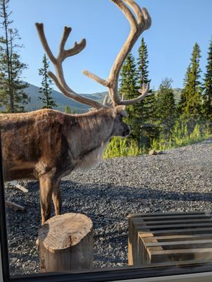 Underbar stuga i Bydalen - Bild 17