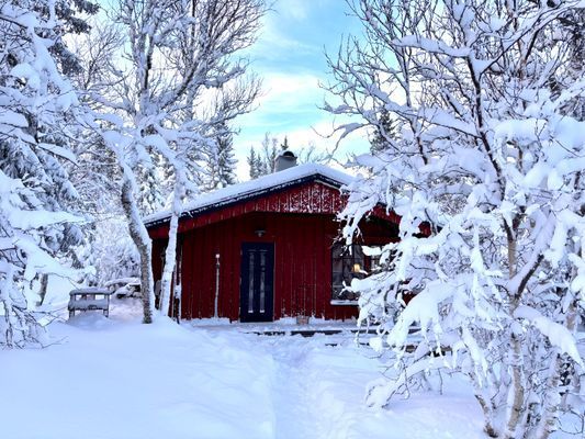 Fjällstuga i natursköna Snasahögarna