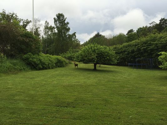 Underbart hus i innerskärgården, nära Stockholm - Bild 10