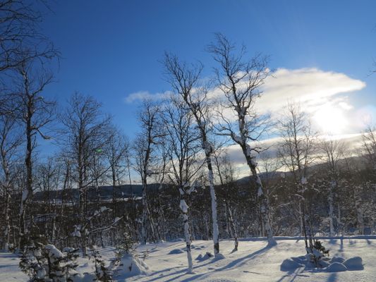 Trevlig stuga med härlig utsikt över Bruksvallarna - Bild 12