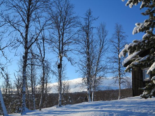 Hyr denna stuga i Bruksvallarna på 55 m². 4-6 sängplatser. 4 800 - 9 900 kr per vecka. Se bilder och tillgänglighet här.