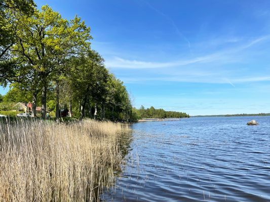 Semesterhus med utsikt över sjön Åsnen |SE06056 - Bild 23