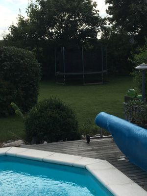 Underbar semestervilla med Pool och stor trädgård - Bild 17