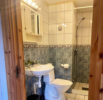 Semesterhus med utsikt över sjön Åsnen |SE06056 - Bild 19