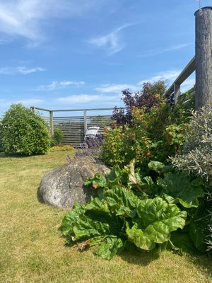 Första parkett mot havet och strandängarna - Bild 23