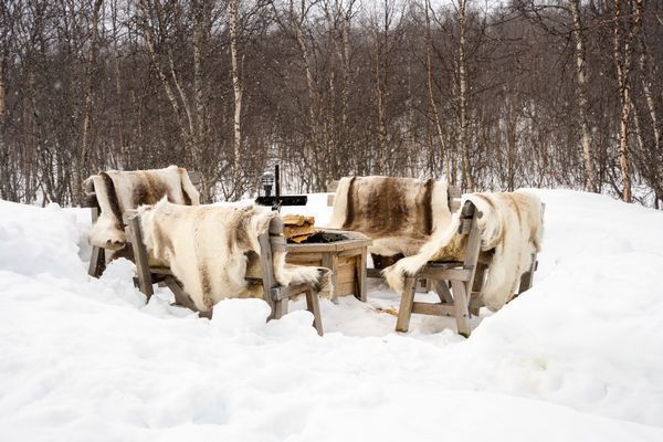 Klimpfjäll - nära till allt! - Bild 23