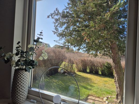 Torekov, Kabyssgränd - Bild 14