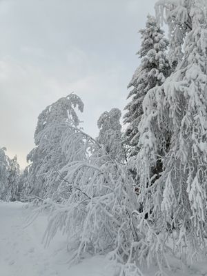 Villa Knagg, Mora, Älvdalen, Vasaloppsarenan - Bild 15
