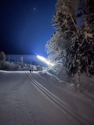 Björnrike, Vemdalen, Ski in/Ski out - Bild 18