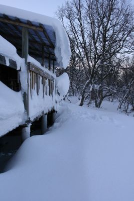 Stuga nära Hamra, underbart läge och härlig utsikt - Bild 20
