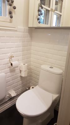 Timmerstuga med bastu m relax och växthus - Bild 17