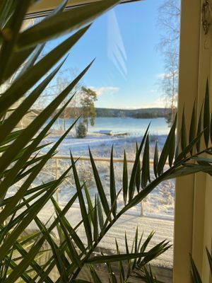 Hus vid Värmelns strand i Värmskog-Värmland - Bild 47