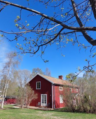 renoverad gårdshus - Bild 14