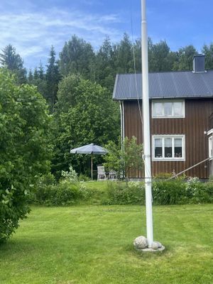 Trädgård