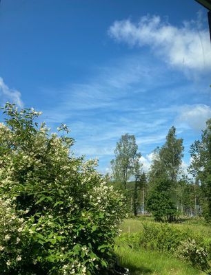 Drömstuga med sjöutsikt och egen badplats - Bild 24