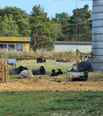 Kalkstenshus i vacker miljö! - Bild 40