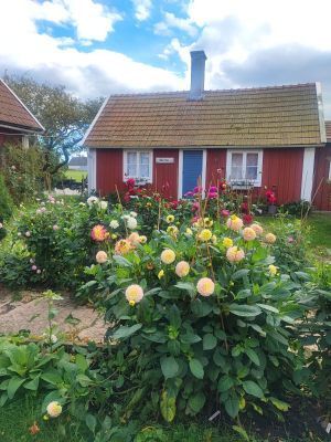 Torp i Torp,Öland