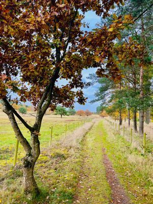 Stuga i natursköna Sövde - Bild 15