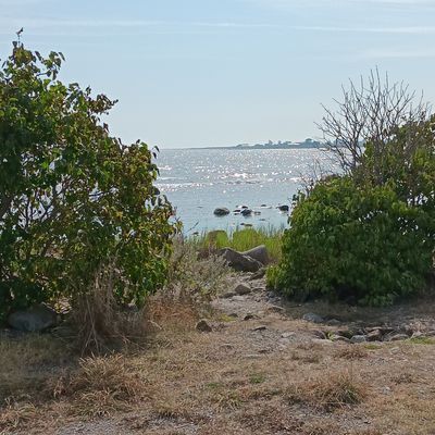Torp i Torp,Öland - Bild 32