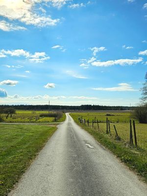 Kalkstenshus i vacker miljö! - Bild 38