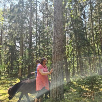 Mysig stuga i naturidyll - Bild 9