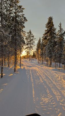 Skoterspår från skalet mot Vemdalen by