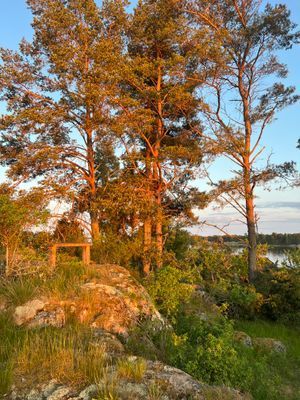 Sommarhus på skärgårdsö - Bild 17