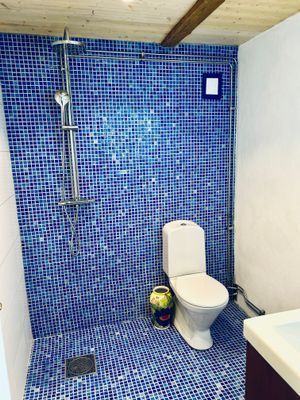 Studio m etage fritt läge i charmig Skånegård - Bild 9