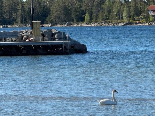Liten pärla nära havet med  havsutsikt. - Bild 19