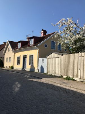 Bild 3 på Visby innerstad, Gotland, Hund ok!