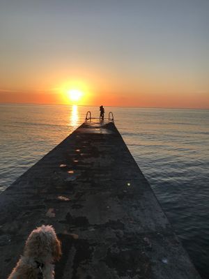 Visby innerstad, Gotland, Hund ok! - Bild 41