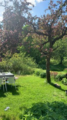 Sommarhus i Möklinta - Bild 16