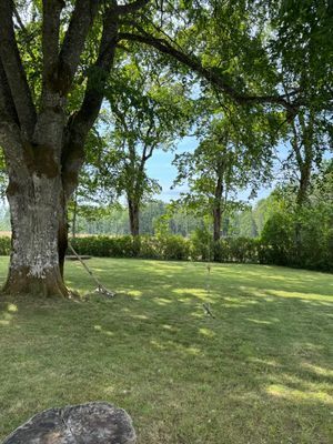 Gamla Prästgården i Dalskog - Bild 63
