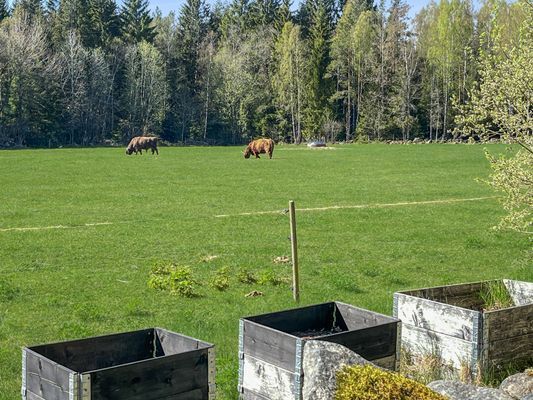 Mysig Stuga omgiven av natur - Bild 24