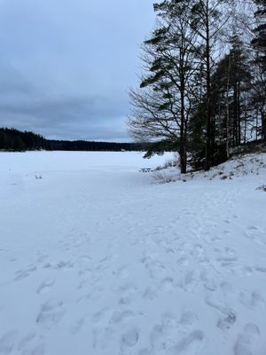 Liten extra stuga på tomten - Bild 7