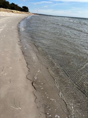 Stuga på stranden i Herta på Sydöstra Gotland - Bild 8