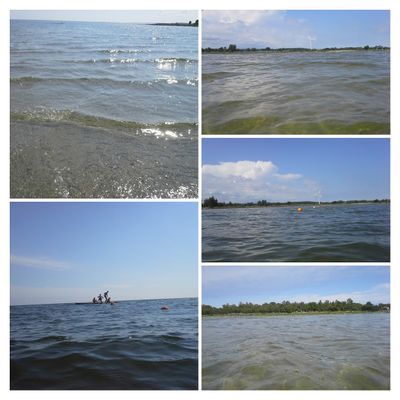 Stuga på en gård nära havet - Bild 11