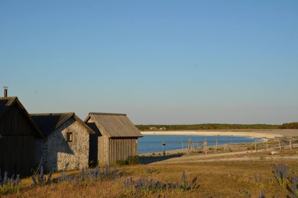Villa med pool och havsutsikt. Gotland N Fårösund - Bild 16