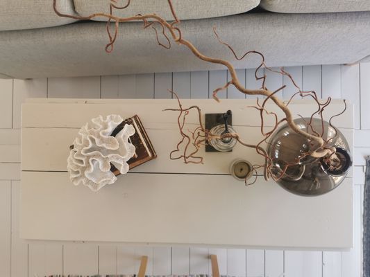 Hus nära Horns kustväg, norra Öland - Bild 6