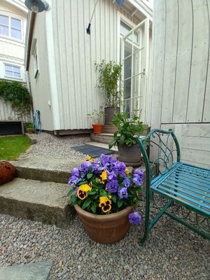 Hus vid hamnen i Strömstad - Bild 7