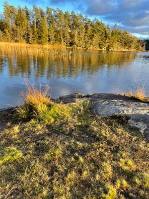 Liten extra stuga på tomten - Bild 12